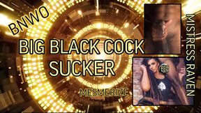 BNWO - BIG BLACK COCK SUCKER MESMERIZE