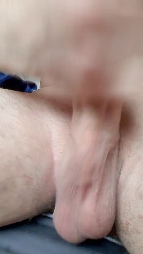 Grosse Palme.mp4