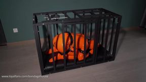 Latex Prisoner