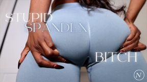 Stupid Spandex BItch