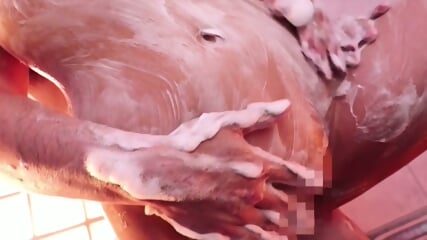 Ero Motion Story #1137