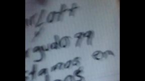 V&iacute_deo de verificacion