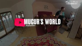 The Christmas gift experiment