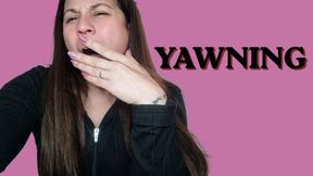Yawning shamelessly… my mouth opens on its own as I look at my phone