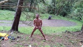 Wild Slovak Nature