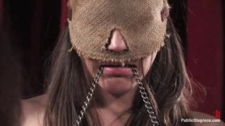 Orgia, gangbang, bondage &#8211; intensa gangbang anale per Bobbi Starr e la principessa Donna