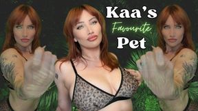 Kaa's Favorite Pet - The Selection