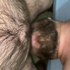 Hairy and Chubby Bear Swallowing Cum