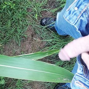 Walking outdoor, getting horny and jerk off on a corn leaf