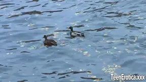 Young couple mounts each other hornyly