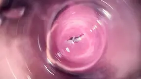 Inside Mia&#039;s vagina, internal camera in teen pussy