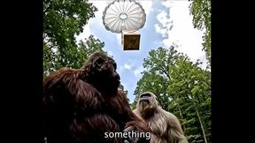Bigfoot vlogs steroids