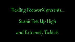 Sushii Feet Up High and Extremely Ticklish