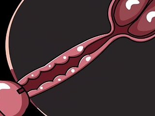 Internal ejaculation &num;4 &lpar;animation&rpar;