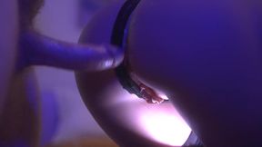 Melbourne Airbnb: Sexy doll blows me, then cums multiple times