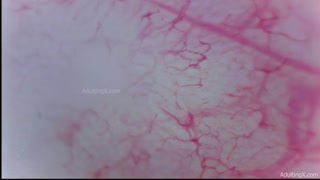 Camera Inside Ass, 9 Throbbing Pulsing Anal Orgasms,  Live Stethoscope Heartbeat - Full Clip