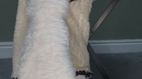 2 Minutes Of My Fluffy Socks Getting More Attention Than You Lol