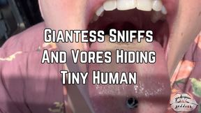 Giantess Phoenix Bates Sniffs Out And Vores Hiding Tiny Human 1080p - Femdom POV - Close Up - Shrinking Fetish - Mouth Fetish - Vore POV