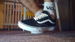 New Vans Shoes