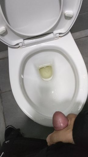 Quick masturbate at the toilet during working hours