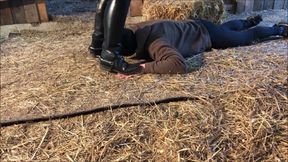 Trampling of the Rider