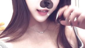 喵嗚 誰家的小母貓