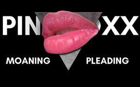 Moaning and Pleading Audio, visual