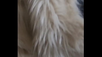 Is this your favorite fur-coat?
