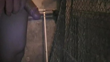 une queue enormle d'un pote déguisé en fantomesfunnys extape avec un ptoe qui...