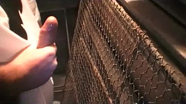 une queue enormle d'un pote déguisé en fantomesfunnys extape avec un ptoe qui...