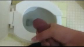 Una paja en el ba&ntilde_o