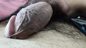 My Hairy Body and Dick