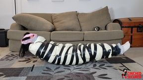 Lil Miz Unique - Mouth Packed, Mummified and Panty Hooded! (WMV Format)