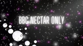 BBC Nectar Only