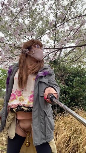 No. 166 Tack's Pussy and a Quiet Moment Under the Cherry Blossoms