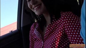 Hitchhiker Nikki Stills gives head and gets banged in public