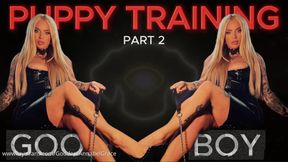 PUPPY TRAINING - GOOD BOY PART 2