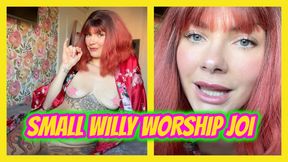 Small Willy Worship JOI