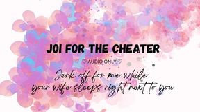 JOI for the cheater (audio only)