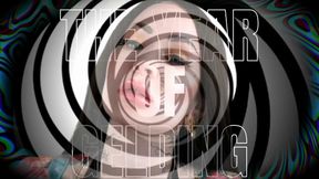 The year of gelding - TRIGGER