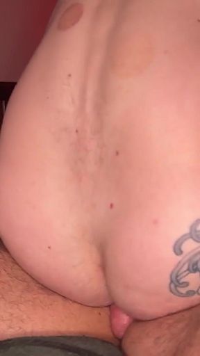 A Wolf Gets Fucked by a Bear