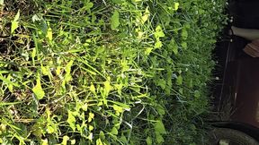 I pretend to be a realtor who goes out to a remote area to show a piece of land for sale, but when I get back in my car to leave, its stuck in the mud!! Im scared to mess up the land, and I cant get my car out!! Im very stressed out!!!