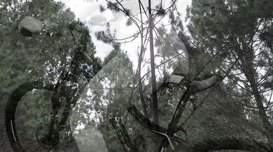 60fps ride led to a latina’s hard public fuck with her big tits pressed in the forest