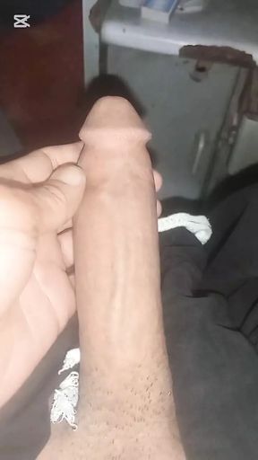 If any female homosexual shemale wants to have sex with me, you can contact me, I am available.
