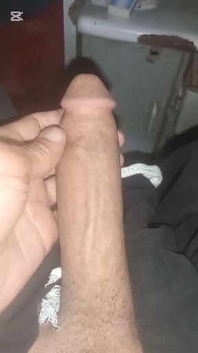 If any female homosexual shemale wants to have sex with me, you can contact me, I am available.