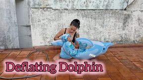 Deflating Dolphin
