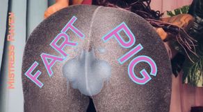 FART PIG
