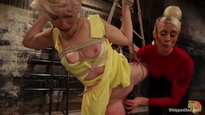 Fresh Meat - Lexi Larue