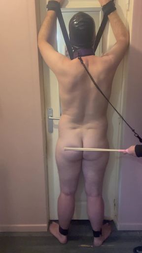 A Submissive Tied up and Humiliated