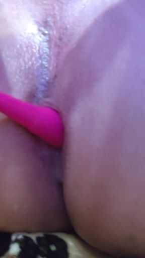 Game with Anal Plug